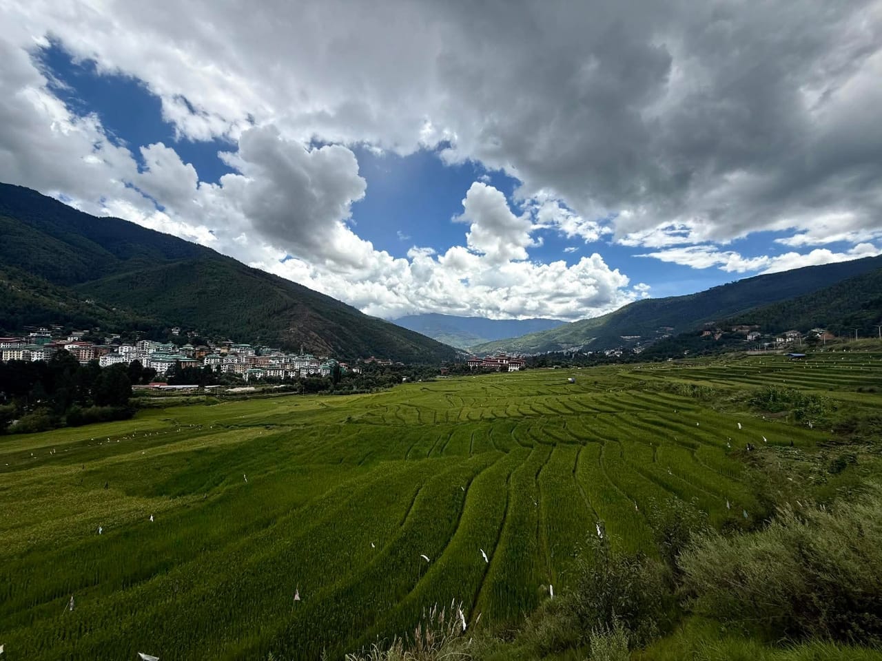 Energy Efficient Hotel Room